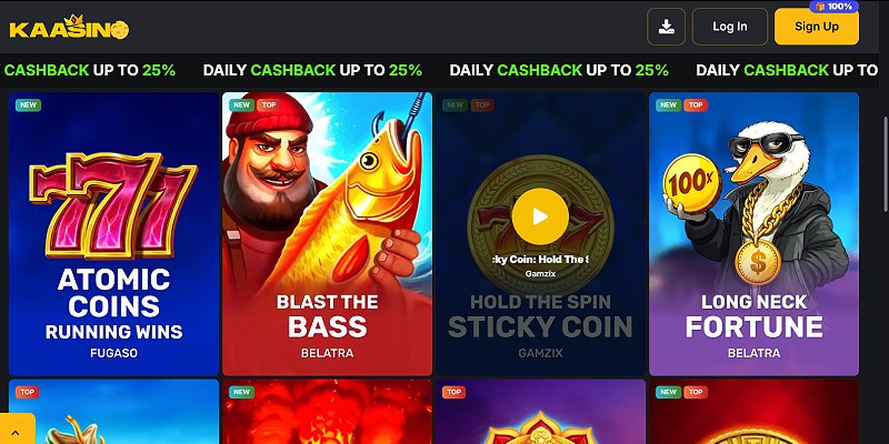 Kaasino casino screenshot